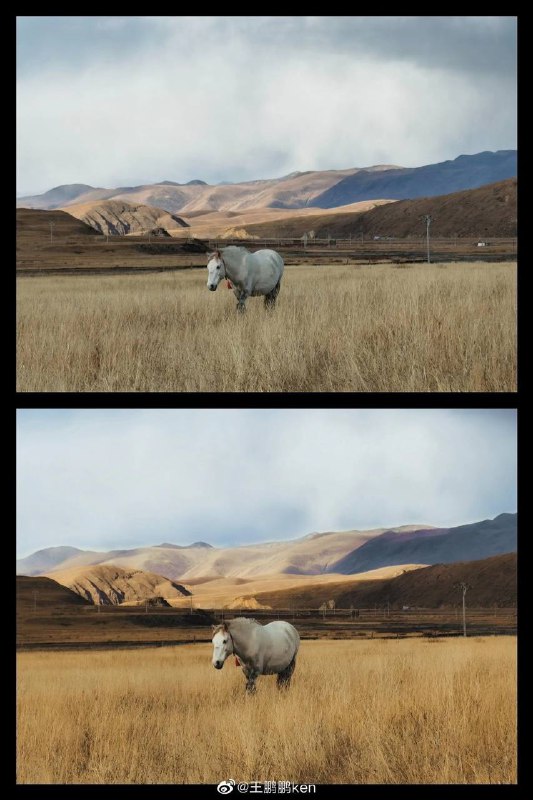 #摄影后期对比#摄影后期对比