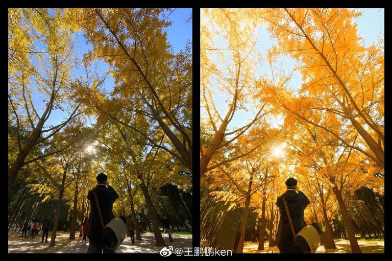 #摄影后期对比#摄影后期对比