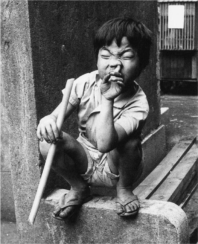 #荒木经惟 #摄影#荒木经惟 #摄影