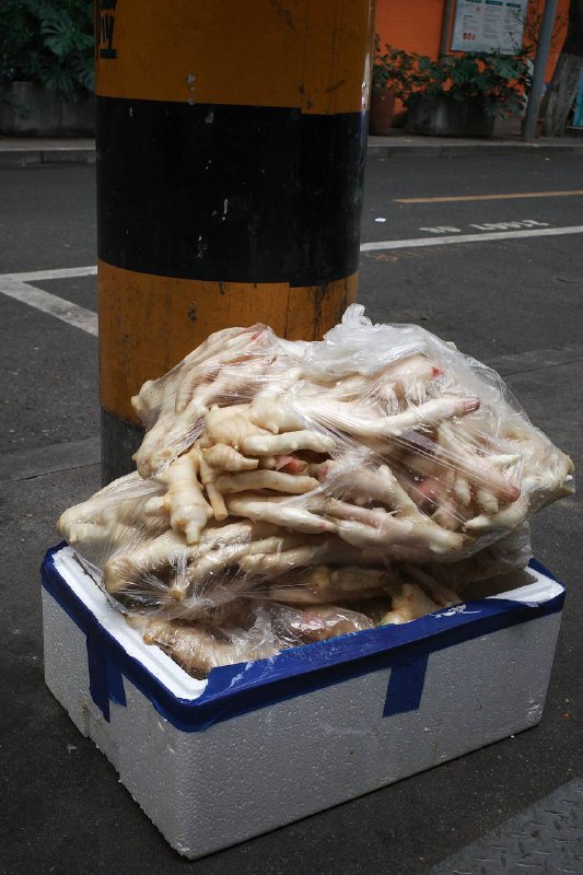 在玉林路的街头走一走在玉林路的街头走一走