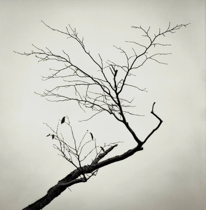 极简主义黑白影像，摄影师 Silver Halide 作品#摄影极简主义黑白影像，摄影师 Silver Halide 作品#摄影