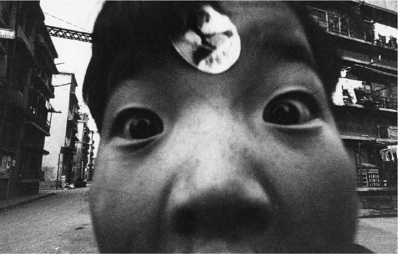 #荒木经惟 #摄影#荒木经惟 #摄影