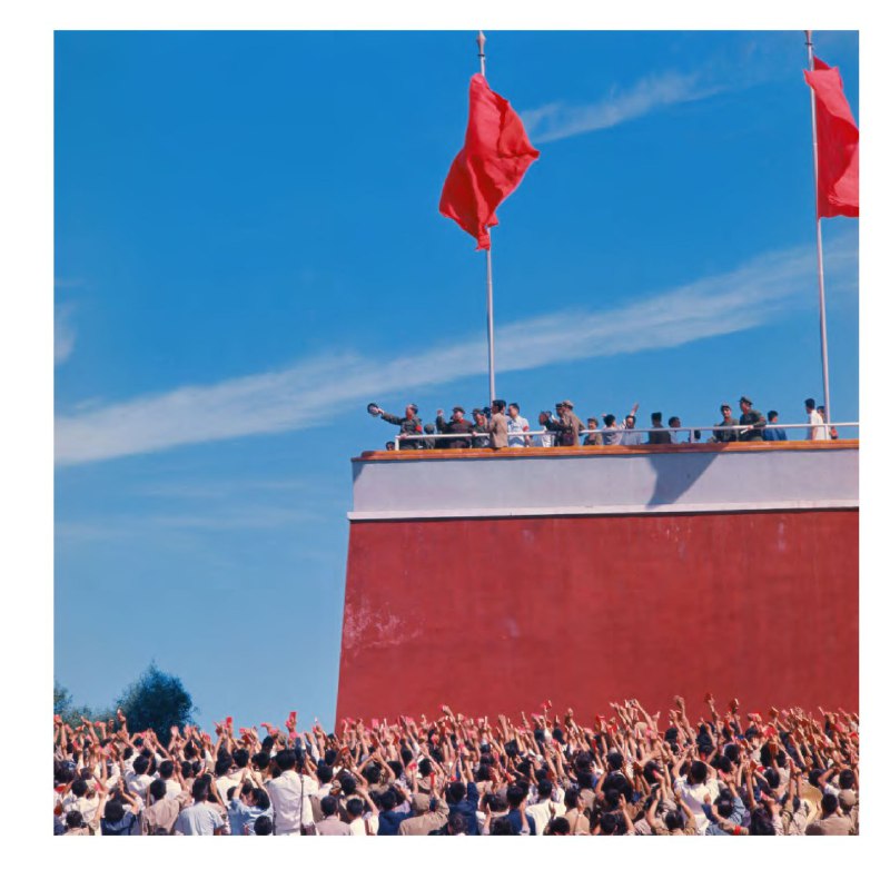 群氓，就是聚集起来的表现为同质均一心理意识的人类群体，他们拒绝理性而复杂的思考，对提供给他们的各种意见、想法和信念，只简单地选择两个极端，或者全盘接受，或者一概拒绝，将其视为绝对真理或绝对谬误